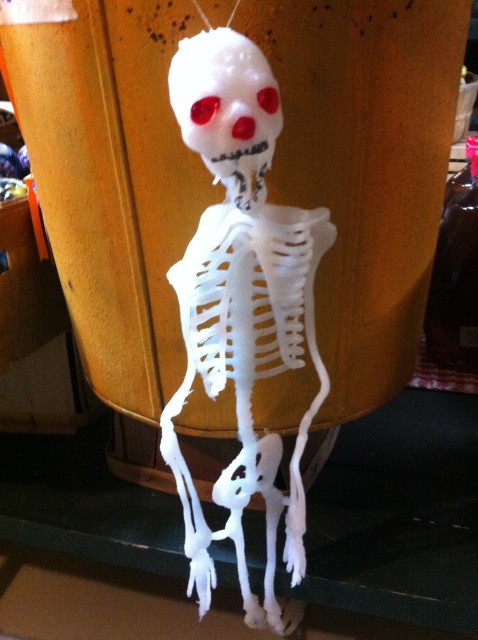 tand tiran Missionaris Hanging Rubber Skeleton
